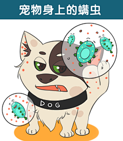 泡泡网采集到育儿漫画知识