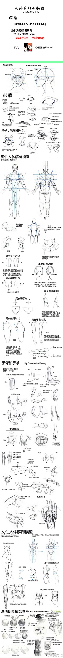 画画的Feng子采集到肌肉解剖