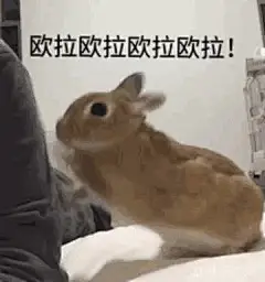 表情包 (3147)