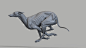EVOLUTIO - GREYHOUND
