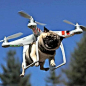 New feature for the Phantom 3 drone!  Dogs can now be delivered by drones.  #Joke #Humor #Pugs #Puppies: 