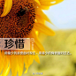 珍惜