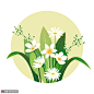 白色雏菊鲜花手绘圆形边框花卉插画 植物花卉 其他植物