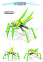 实丰儿童益智玩具3D塑胶昆虫模型拼图拼版机械昆虫玩具-淘宝网