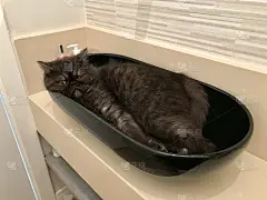 太累了