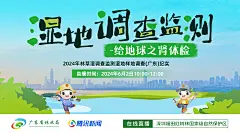 林业直播海报湿地调查16：9 拷贝