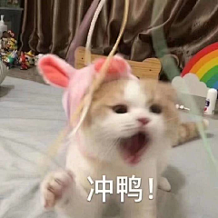 芝麻糊倒胡椒糊了锅采集到表情包