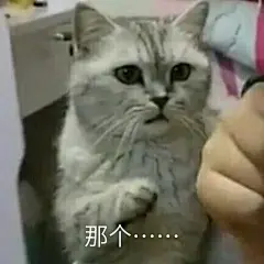 表情包/缺钱