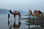 camels-river-yamuna-taj-mahal.ngsversion.1474473070471.adapt.1900.1.jpg (1900×1266)