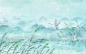 水墨世界湿地日插画芦苇湿地白鹭植物鸟春天春季山水风景水彩背景