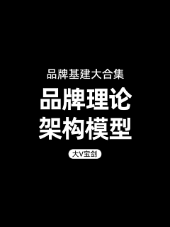 大V宝剑采集到个人-品牌理论
