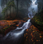the story of an autumn river : The story of an autumn river in Bulgaria.