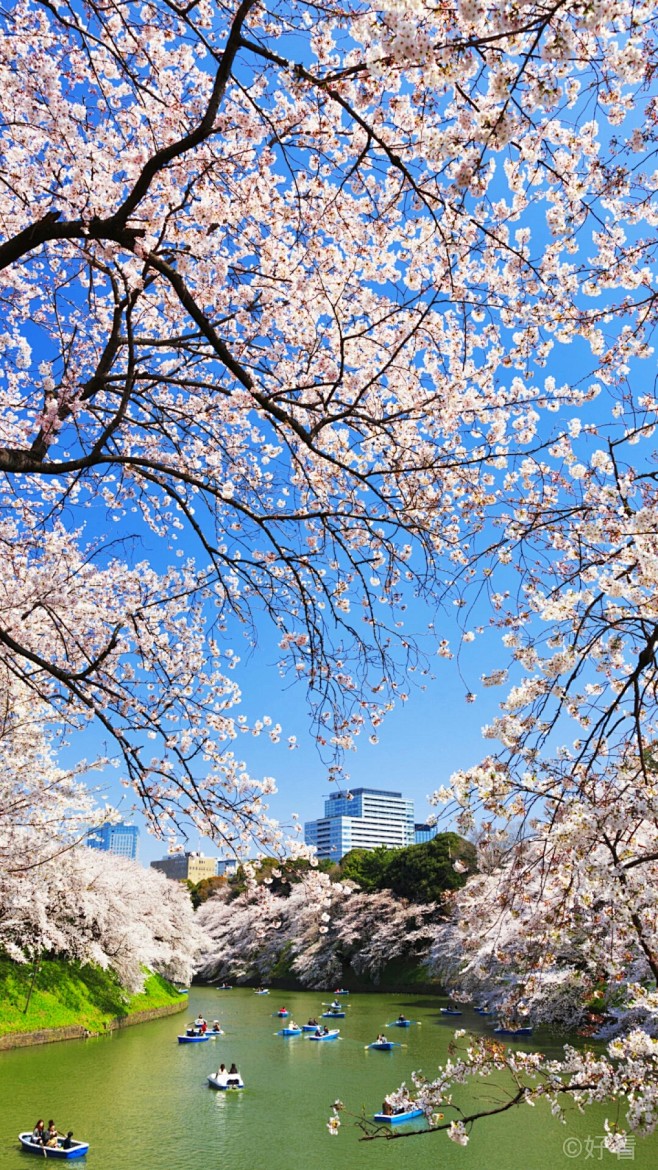 新宿御苑是东京最大的日式庭院和法式庭院相...