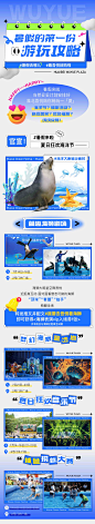 海洋海狮活动长图设计师海洋海狮活动长图-志设网-zs9.com