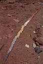 Andy Goldsworthy: 