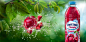 Fruit Splash