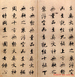 耗子丫丫采集到书法(张即之《度人经贴》)