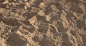 Desert Sand, Steve Holt : This material study is keying off of my desert ground material posted here : https://www.artstation.com/artwork/PAN9B
It's a complimentary material designed to be used in conjunction with the desert ground and is available on gum