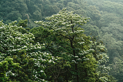Vqy1i采集到风景