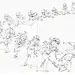 #绘画参考# 跑步动态 ​​​​