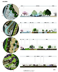 小佛爷爱手绘采集到植物造景/配置