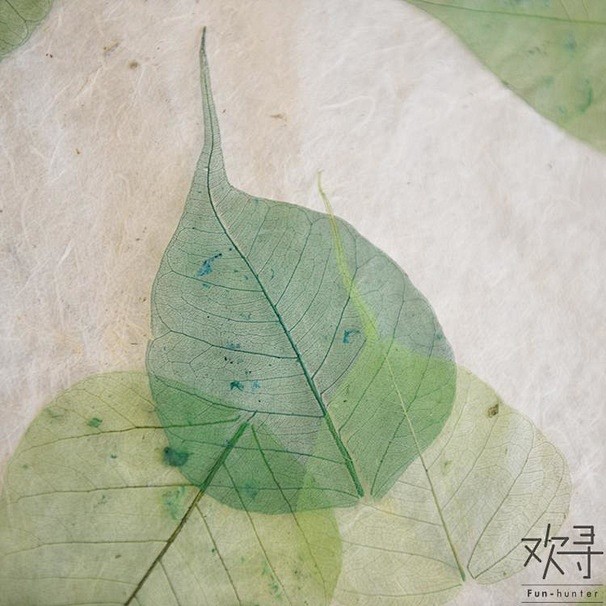 ［叶の歌谣］手作 天然树叶 叶脉书签 单...