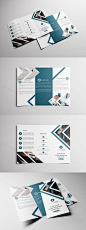 Business Trifold Brochure