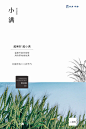 【源文件下载】 海报  小满 二十四节气 小麦 简约
