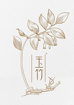 小稳-loveWW采集到植物——png