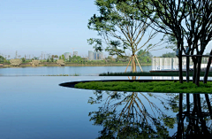 小阿米设计师采集到A-景观-滨水景观