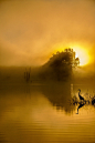(7) Tumblr