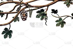 金属藤蔓在白色背景孤立