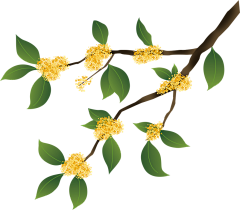 汽泡棉花糖采集到素材—免扣