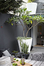 tips-to-design-your-perfect-container-garden-7 - Gardenoholic
