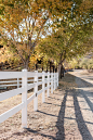 pexels-arthouse-studio-4618419