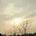 靖呼吸