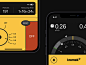 Radiation Dosimeter by Yevhen Yurchuk on Dribbble