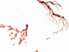 腊梅  - 源文件下载【酷图网】腊梅素材,腊梅,腊梅花,梅花,梅花素材