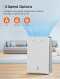 taotronics-air-purifier-tt-ap007_1