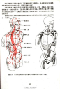 #绘画参考# 补充一下练习人体的问题，《艺用人体运动学》，很实用的一本书，给大家学习参考。书的下载链接 @微盘：O【重要】艺用人体结构运动学.pdf