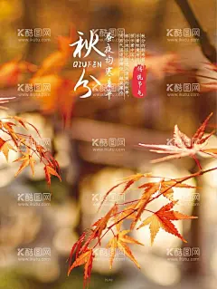 秋分  - 源文件下载【酷图网】秋分海报,秋分微信,秋分节气,节气海报,立秋主题海报,二十四节气,秋分艺术字,秋分插画,传统节气,24节气海报,立秋,立秋海报,立秋节气,秋天海报,秋季海报,秋分素材,秋天素材,秋天插画,手绘秋天,手绘秋分海报