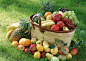 Fruits-HD-Wallpapers7