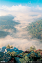 山景