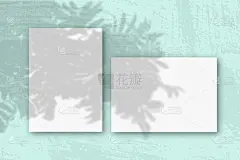 水平和垂直的白色纹理纸与粉红色的墙壁背景。模型与植物阴影覆盖。自然光线在热带植物上投下阴影