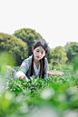 采茶少女汉服茶叶茶园人物摄影图