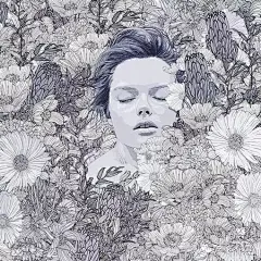 【菲律宾插画师Pedro Tapa作品】 
菲律宾插画师 Pedro Tapa 用简单的线条创作出复杂图案。Pedro Tapa坚持了插画的审美标准，他以精美杂志上的女性作为绘画基础，呈现出优雅靓丽的女性形象。他致力于绘出既是简单天然型、又是完美理想型的女性。