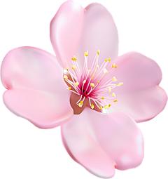 gmy感冒药采集到花
