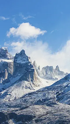 ＠大圣中的战斗菊#唯美#壁纸#手机壁纸#电脑壁纸#风景#雪山