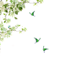 蝴蝶 48