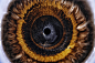 abstract art color eye Liquid photo Photography  sonyA7RIV wallpaper